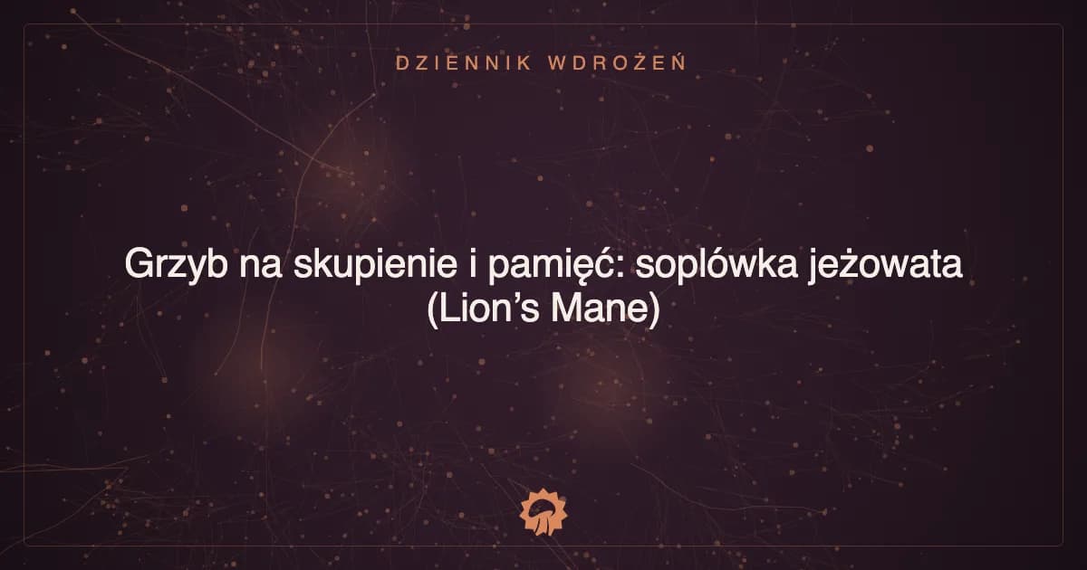 Grzyb na skupienie i pamięć: soplówka jeżowata (Lion’s Mane)
